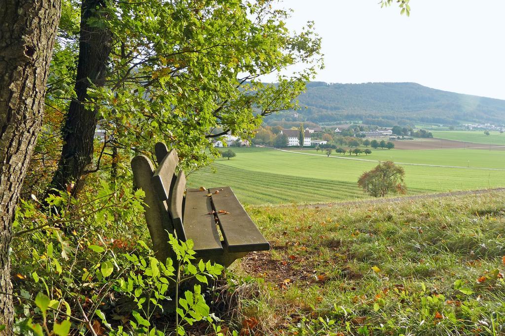 Klosterhotel Kreuz Mariastein Luaran gambar