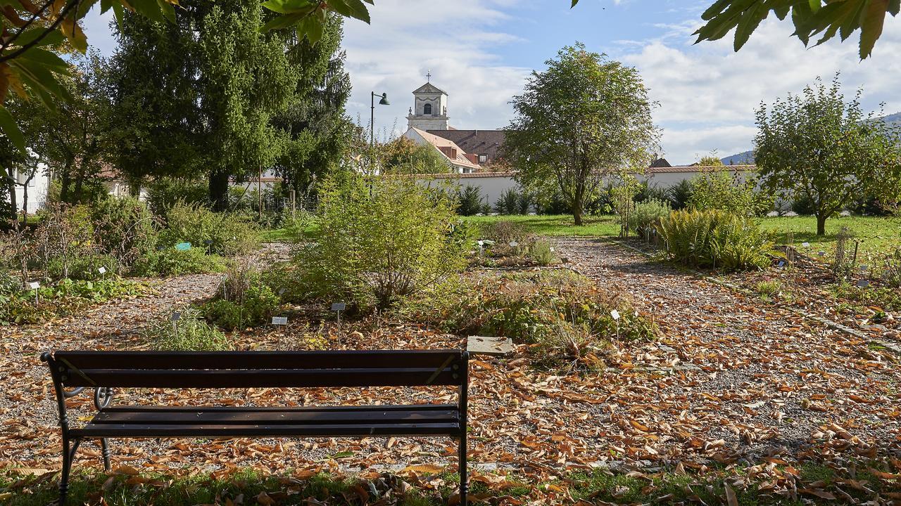 Klosterhotel Kreuz Mariastein Luaran gambar