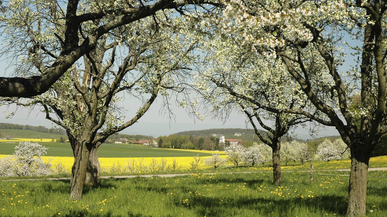 Klosterhotel Kreuz Mariastein Luaran gambar